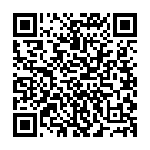 你是从人事局局长乡党委书记再到区委书记久经风霜的悍将了二维码生成