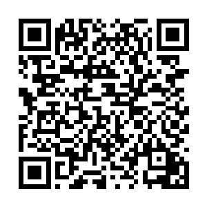 你是在怀疑这一切的厄运都是我们给乐家带来的吗二维码生成