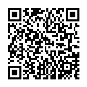 你是在说你之前没敢过来弄的假的护法是在家里做乌龟了吗二维码生成