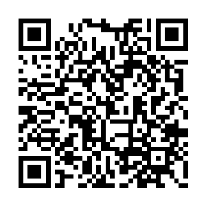 你是怎么知道我们接下来会遭遇不少的远古荒兽二维码生成