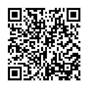 你是怎么确定这座山里面隐藏着一头熔岩神兽呢二维码生成