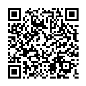 你是我最亲密的合作伙伴――这次的事情虽然有一些麻烦二维码生成