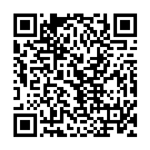 你是我见到的最强的天才……哦……当然除了山魂那个变态二维码生成