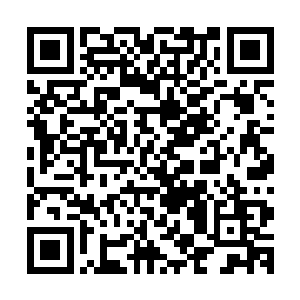 你是打算让那些妖帝被你这个有着将才资质的噬魂蛾吸引目光二维码生成