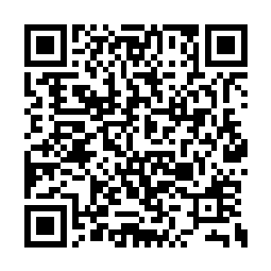 你是捡到的……不是……不是活的天晶级人偶兽二维码生成