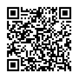 你是真心想阻止天元界和血妖界之间的世界大战二维码生成