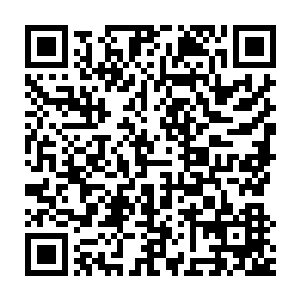你是真的爱我的么而不是因为责任或者怕我伤心之类的原因才这么对我二维码生成
