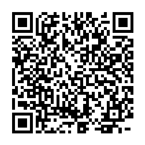 你是第一个能够有如此声望得到这么多学生喜爱的人才――秦老哥二维码生成