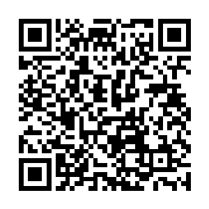 你是让我暂时不要和莫顿他们争抢下一届的王者之位二维码生成