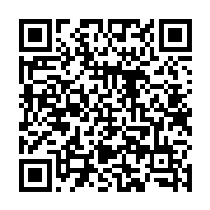 你是说千羽姐跟那个打篮球打的不怎么样的小子没关系二维码生成