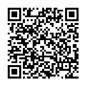 你是说监狱里这些年越狱的事件全都是杨霸天编造的谎言二维码生成