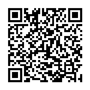 你是说要我在婉柔和柳清浅一人一鬼之中选择一个二维码生成