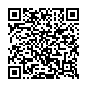 你是说这个所谓的心脏修复手术不是在医院做的二维码生成