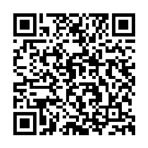 你是说金龙公司身后的那几个老总会对姜吉动手二维码生成