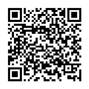 你是说魔族的人还可以像鸟儿一样横跨大海飞过来二维码生成