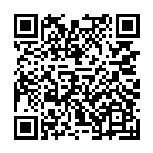 你曜日军团的团长不是一个遇到困难就放弃的孬种二维码生成