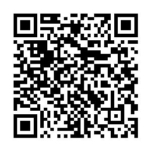 你更加可以看到前后两个导演胡永伟和许尔勒快要崩溃的表情二维码生成