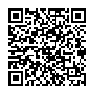 你最惨的一次是让一个砖厂的老板把你架到砖厂干苦力二维码生成