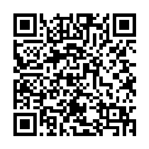 你有什么资格查我们的玉牌……你的身份牌带了吗二维码生成