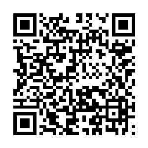 你有勇气站出来替自己的长辈承认错误是一件好事二维码生成