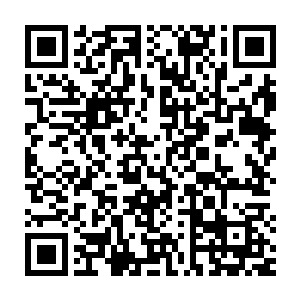 你有所不知我其实就是这土流沙里面的忍者是上一届忍者师父的好兄弟二维码生成