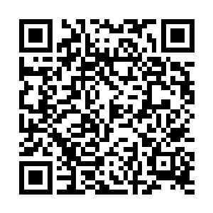 你有权利也有义务帮助国家揪出那些国家的害群之马二维码生成