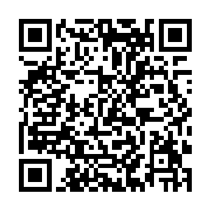 你有没有见过哪个人将两种截然不同的力量融会贯通二维码生成