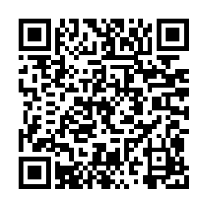 你有能力保住我们在苏江市不受慕容家族的影响二维码生成