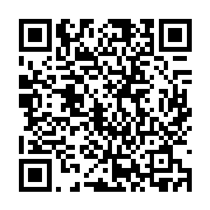 你根本不可能在短短的时间内将这些剑者全部斩杀二维码生成