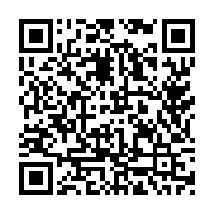 你根本就没有意识到自己所犯的错误有多么严重二维码生成