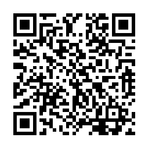 你死了我和许诺阿姨还有阿玛可以过上幸幸福福的生活二维码生成