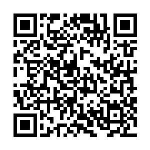 你永远也不会明白渡劫成功的半龙族究竟是有多么的恐怖二维码生成