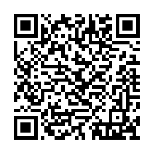 你没有看到那些为了见偶像一面彻夜守候的粉丝二维码生成