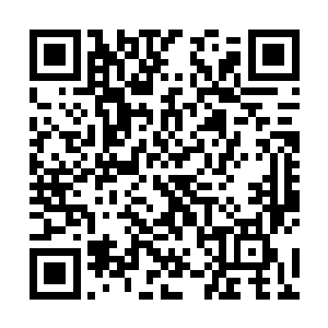 你没看到刚才那个小野次郎他即没有向左侧的车道逃走二维码生成