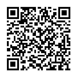 你没看到武术擂台排行榜上有一半是我们家的人二维码生成