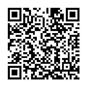 你父亲不是已经找了一批少年准备开始传授我教的东西了么二维码生成