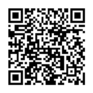 你父亲那边只不过是一个其中一个微不足道的原因罢了二维码生成