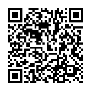 你特么除了十几年前某个夜晚奋战过三五分钟外二维码生成