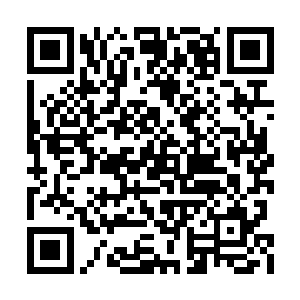 你现在丝毫不着急是因为你有信心能够逃离这里二维码生成