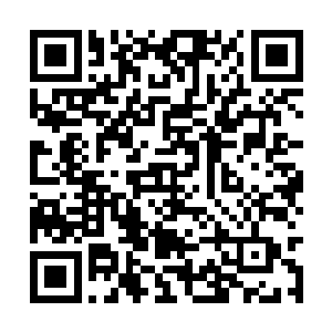 你现在总该告诉我你究竟让我过来这里干什么了吧二维码生成