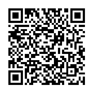 你现在是不是正烦恼――手下这些阳奉阴违的异类蠢货二维码生成