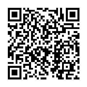 你现在活得了国内百科知识大赛的团体和个人冠军二维码生成