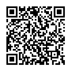 你现在的神识庞大到刚刚根本不需要亲自动手的二维码生成