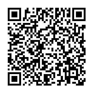 你现在看好了……是你们这个叫做林烽的学生先向我们教官动手的二维码生成