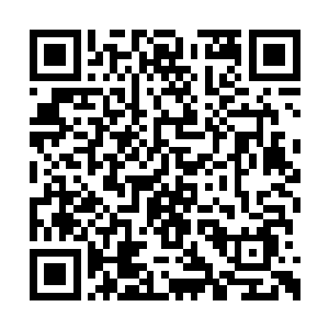 你现在立刻就跟着老夫来会见诸天万界的强者们二维码生成