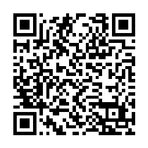 你现在要拼的就是那家伙的意志寄托在三重天以下二维码生成