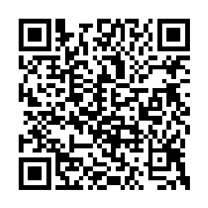 你甚至和这个大陆最顶尖的魔殿妖宫等都要为敌二维码生成