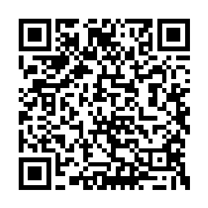 你用你身上的那些假伤来骗废土之地的第一医师二维码生成