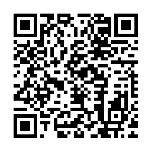 你的任务好像只是训练一批从各个军区里挑选出来的五十名士兵二维码生成