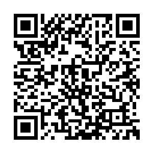 你的任务就是在最短的时间内给我把第五十六师二维码生成